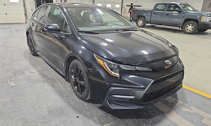 2020 Toyota Corolla...
