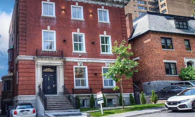 Mcgill Area - Superb...