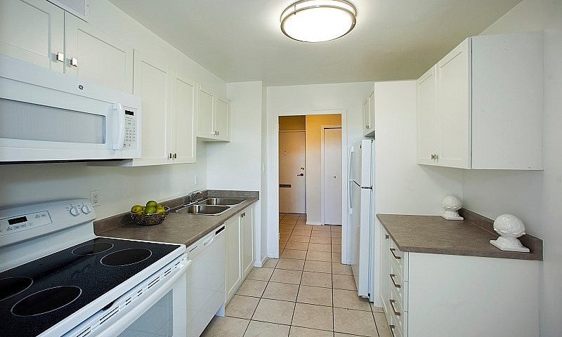 1 Bedroom Apartment-...