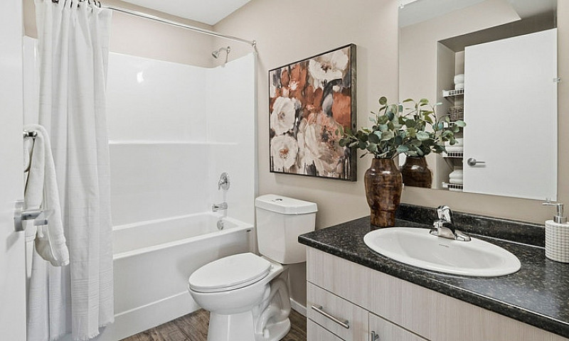 Pet-Friendly Three B...