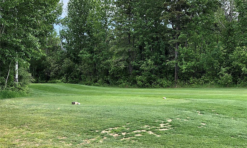1 Northern Meadows C...