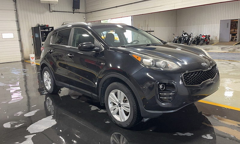 2019 Kia Sportage...