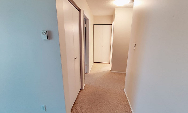 1 Bedroom 1 Bath + $...