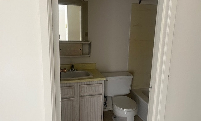 1 Bed City Park Apar...