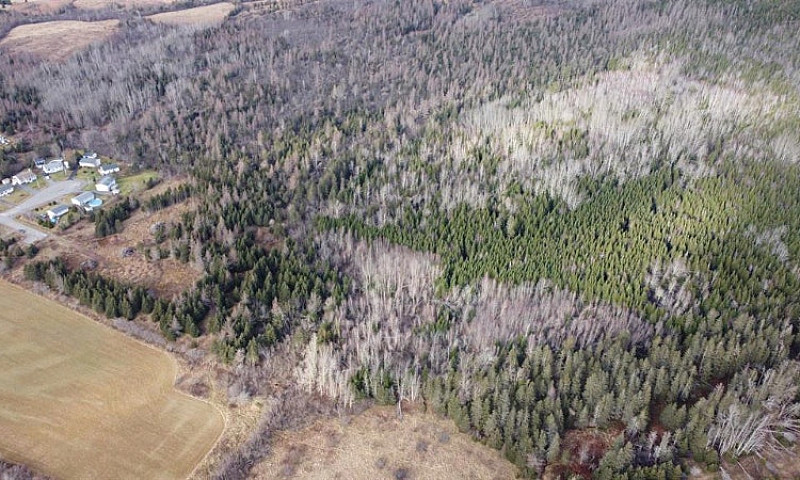 10.5 Acre Lot Min Fr...