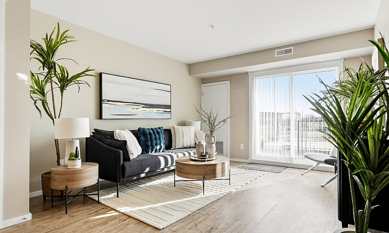 Pet-Friendly Three B...