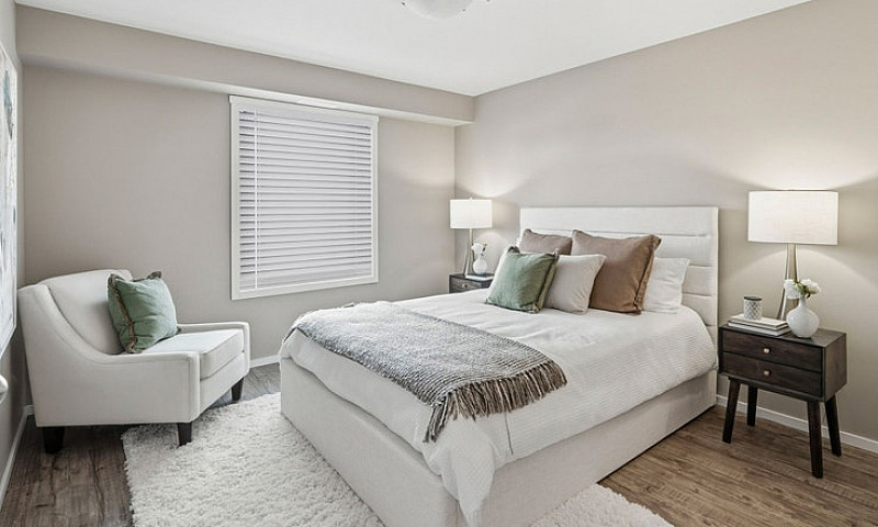 Pet-Friendly Three B...