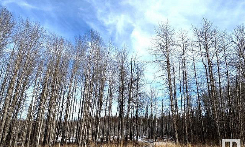 10 Acre Acreage Oasi...