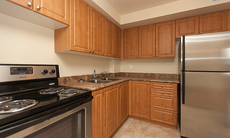 1 Bedroom Apartment ...