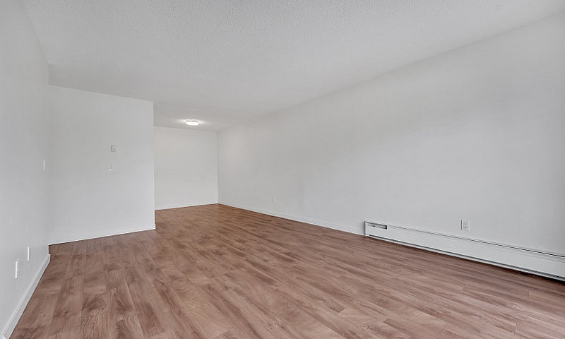 1 Bedroom Apartment ...