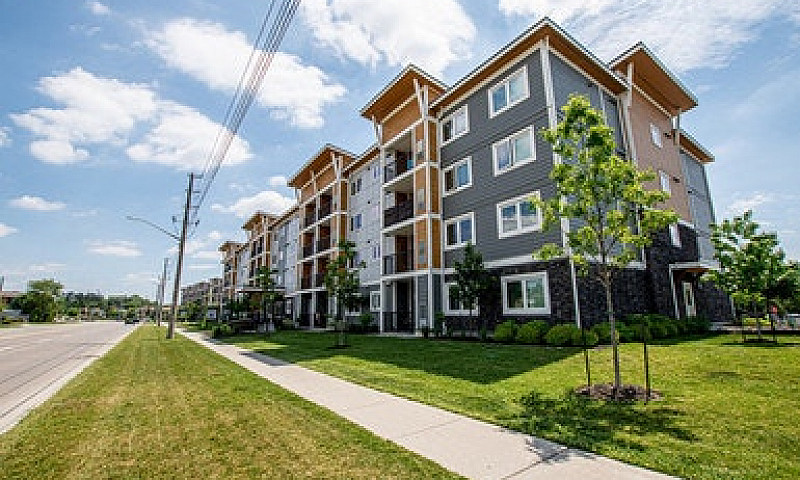 772 Paisley Rd., 4 R...