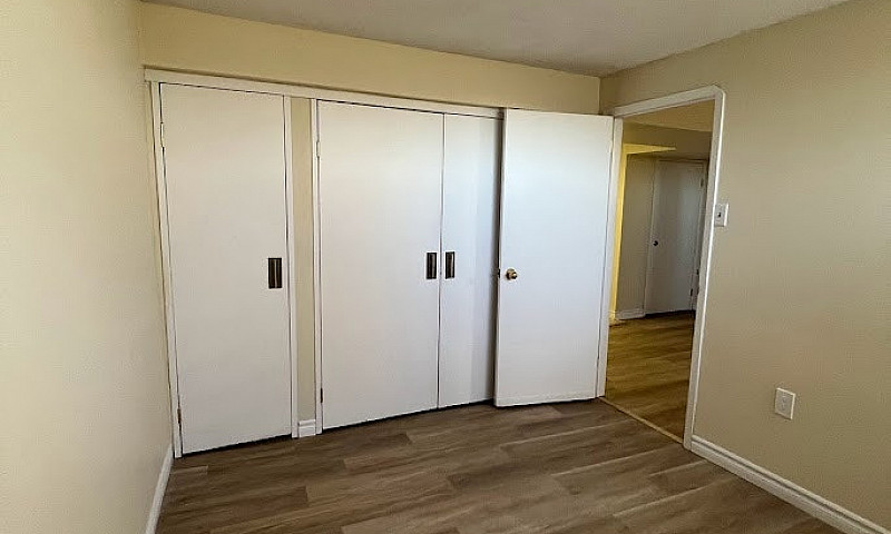 1 Bedroom Walkout Ba...
