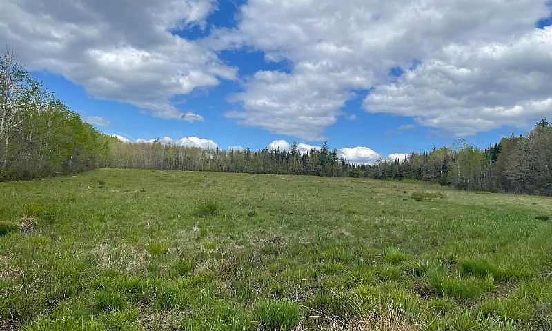 Lakeview Rd., Cambri...