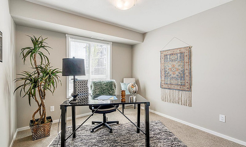 Pet-Friendly Three B...