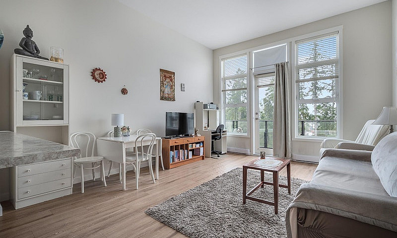 1 Bedroom + Den Apar...