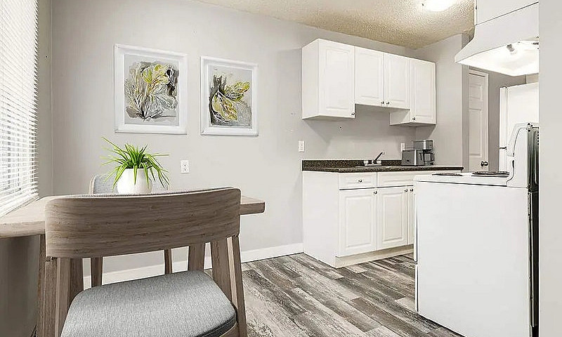 Renovated Apartments...