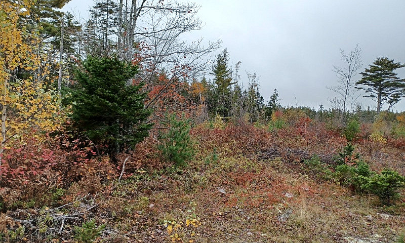 11 Acres Of Land On ...