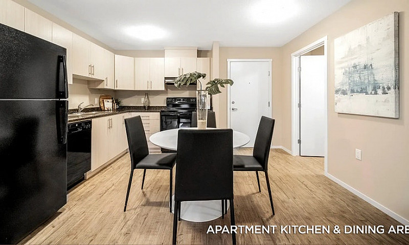 Pet-Friendly Three B...