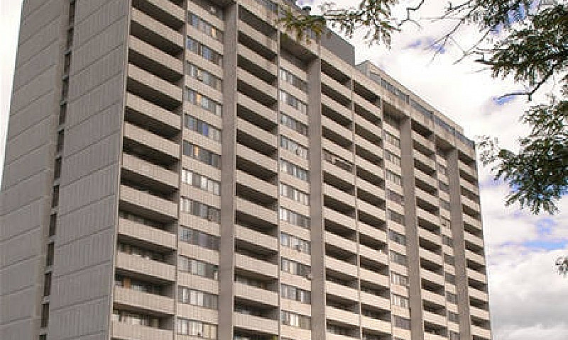 Downtown Bachelor - ...
