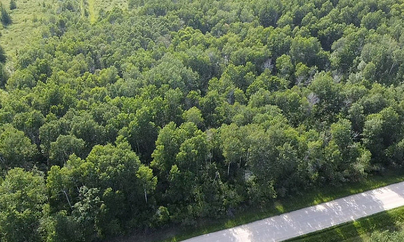 7.51 Acre Property I...