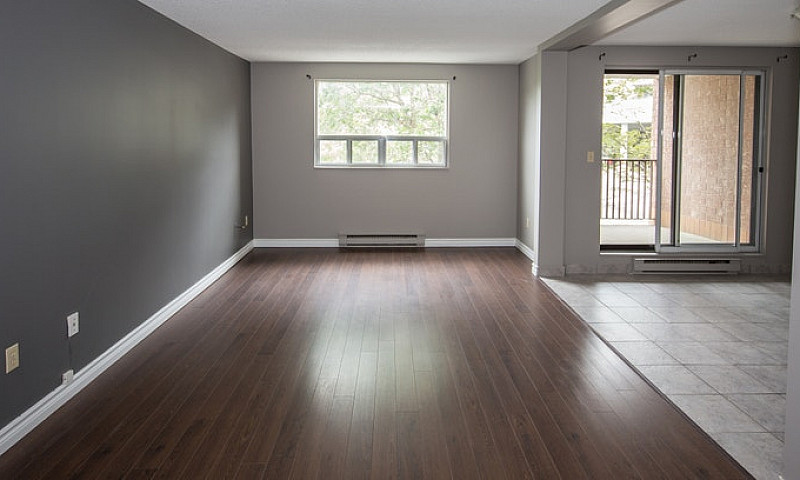 1310 Nesbitt Drive (...