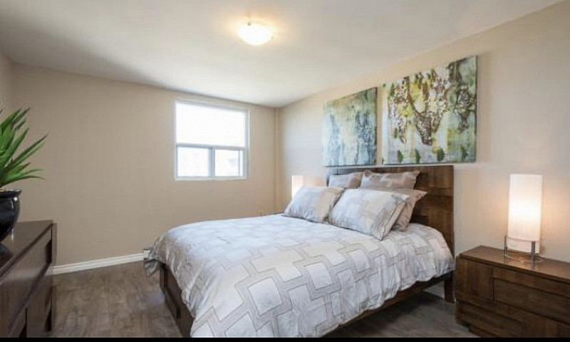 2 Bed 1 Bath - 1495/...