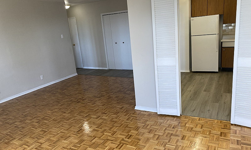 1 Bedroom Apartment ...