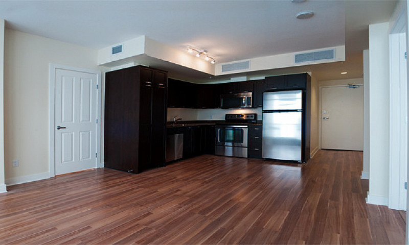 Location! 2 Beds 2 B...