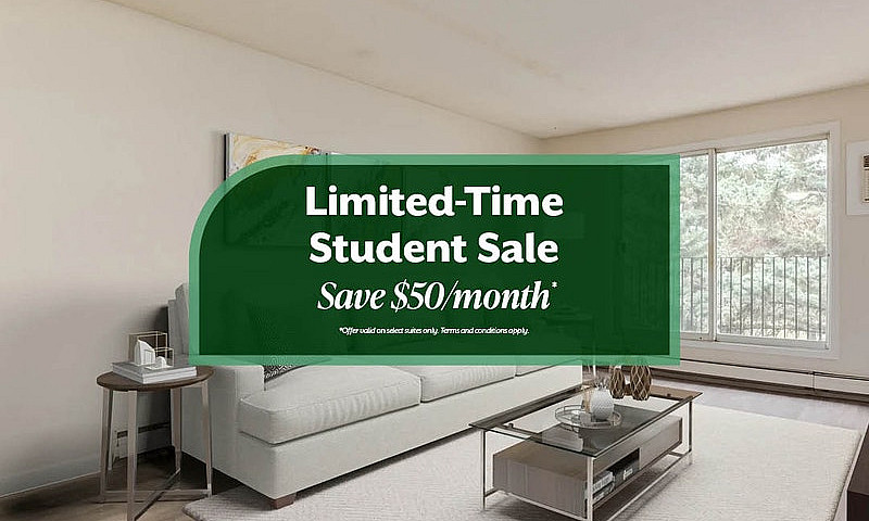 Modern Apartments Wi...