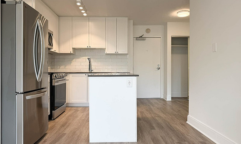 1 Bedroom Apartment ...