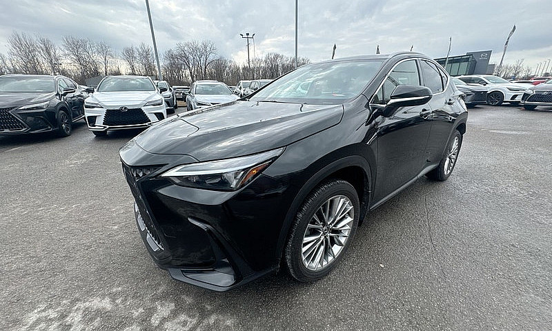 2026 Lexus Nx 350 / ...
