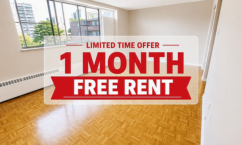 Bachelor Apartment F...