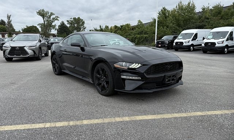 2019 Ford Mustang Ec...