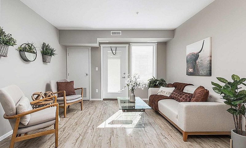 Pet-Friendly One Bed...