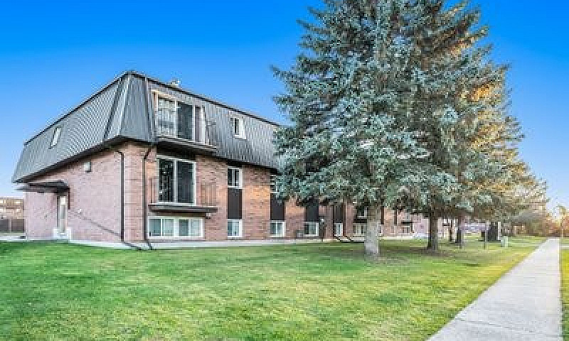 2 Bedroom 1 Bath At ...
