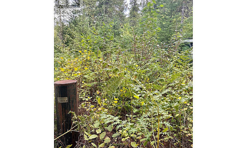 5105 3 Highway Salmo...