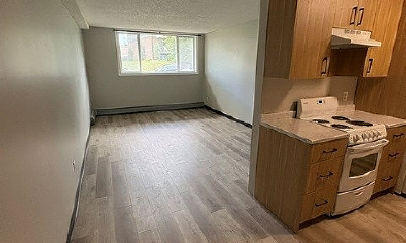 1 Bed 1 Bath Unit In...
