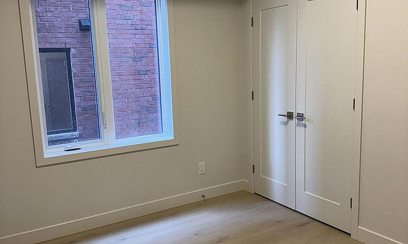 4 - 1301 Dorchester ...