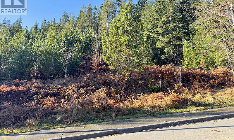 604 Scout Lake Rd Go...