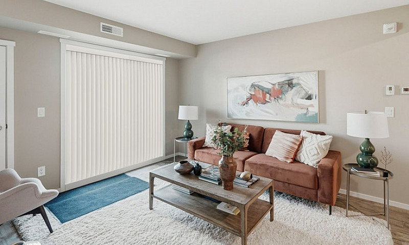 Pet-Friendly Three B...