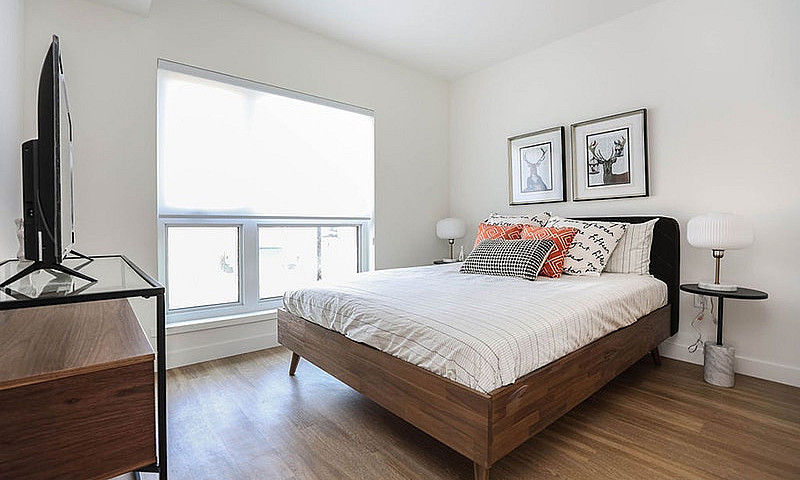 Modern 1 Br Suite In...