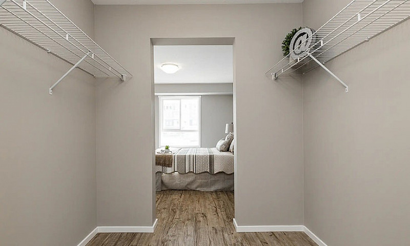 Pet-Friendly One Bed...