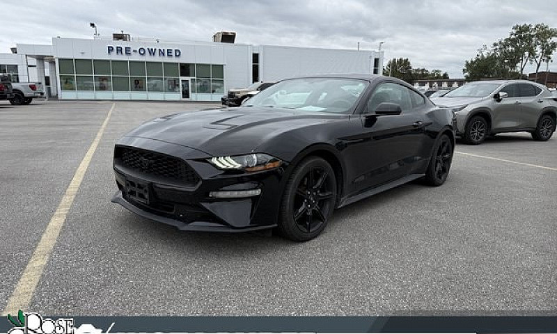 2019 Ford Mustang Ec...
