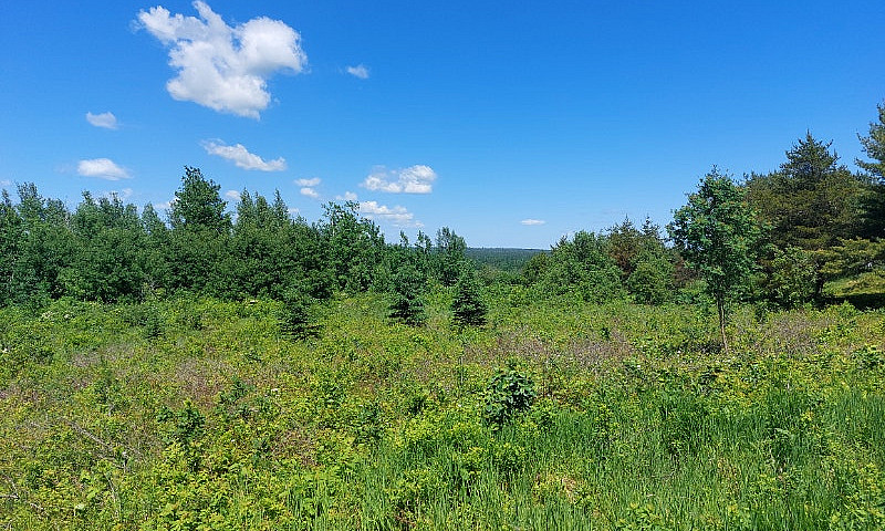 2.5 Acre Building Lo...