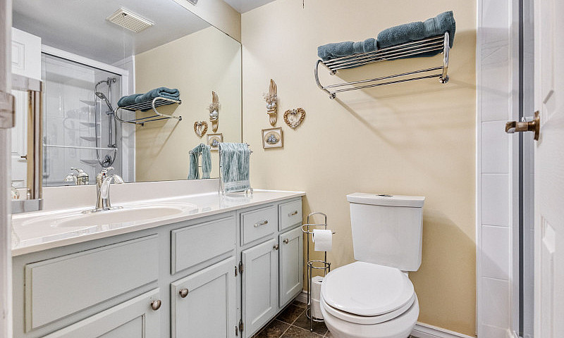 Pet-Friendly Condo I...