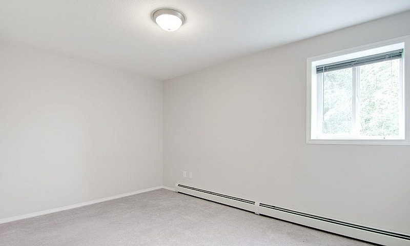 Paragon Apartments -...