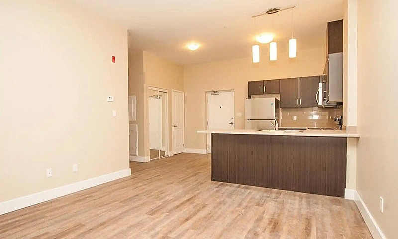 Large 2 Bedroom Apar...