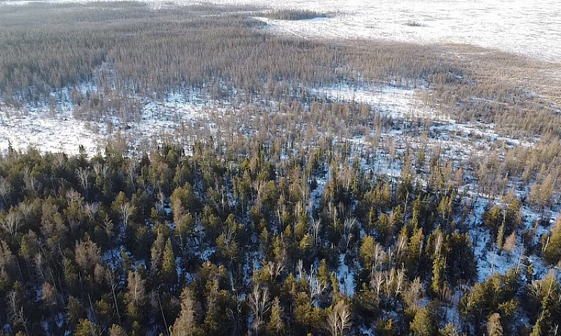 160 Acres In Sundown...