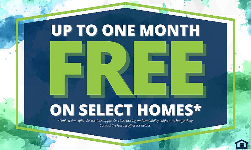 2 Bed X 1 Bath Apart...