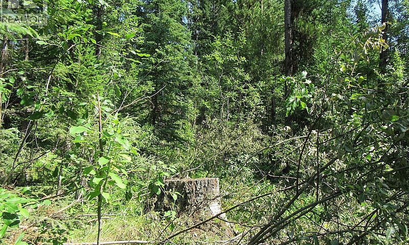 Lot 172 Womack Road ...